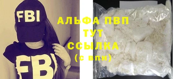гашик Осташков