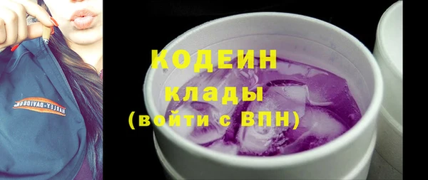 круглые Гусев