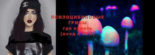 ГАЛЛЮЦИНОГЕННЫЕ ГРИБЫ Ветлуга