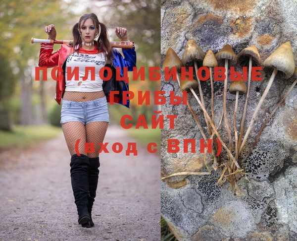 кокс Осинники