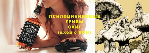 шишки Остров