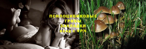 марки nbome Нязепетровск