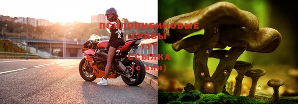 ALPHA PVP Няндома