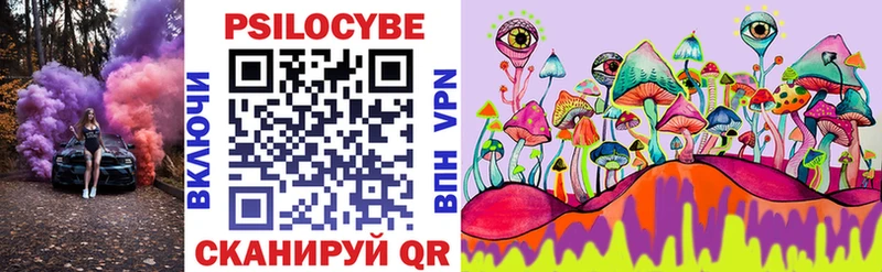 дарнет шоп  Богданович  Галлюциногенные грибы GOLDEN TEACHER 