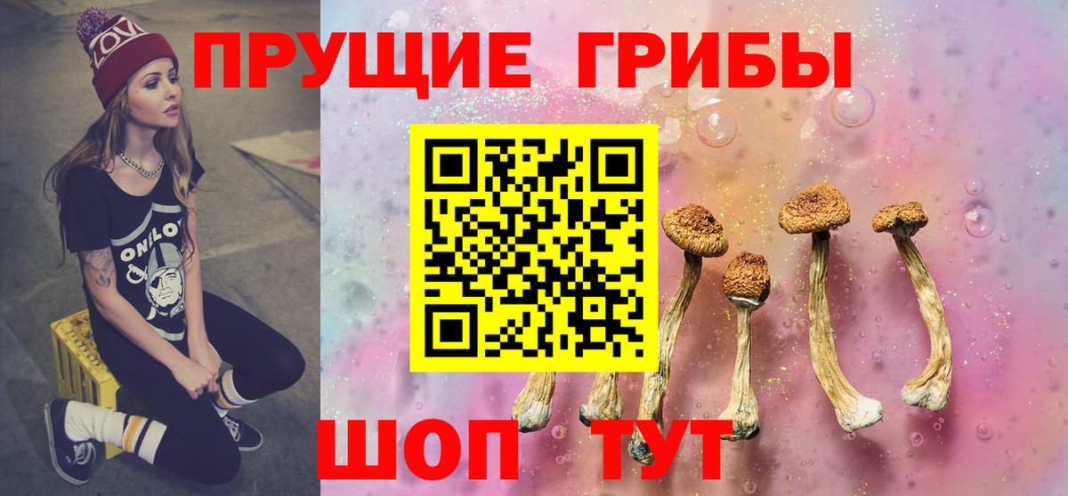 Галлюциногенные грибы прущие грибы  Вход с VPN  Богданович  где можно купить наркотик  Псилоцибиновые грибы Psilocybine cubensis 